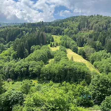 Bollenlodge - Ferienwohnung Mit Ausblick Und Top Lage Todtnau Exterior photo