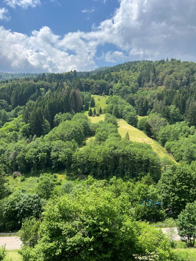 Bollenlodge - Mit Ausblick Und Lage Apartment