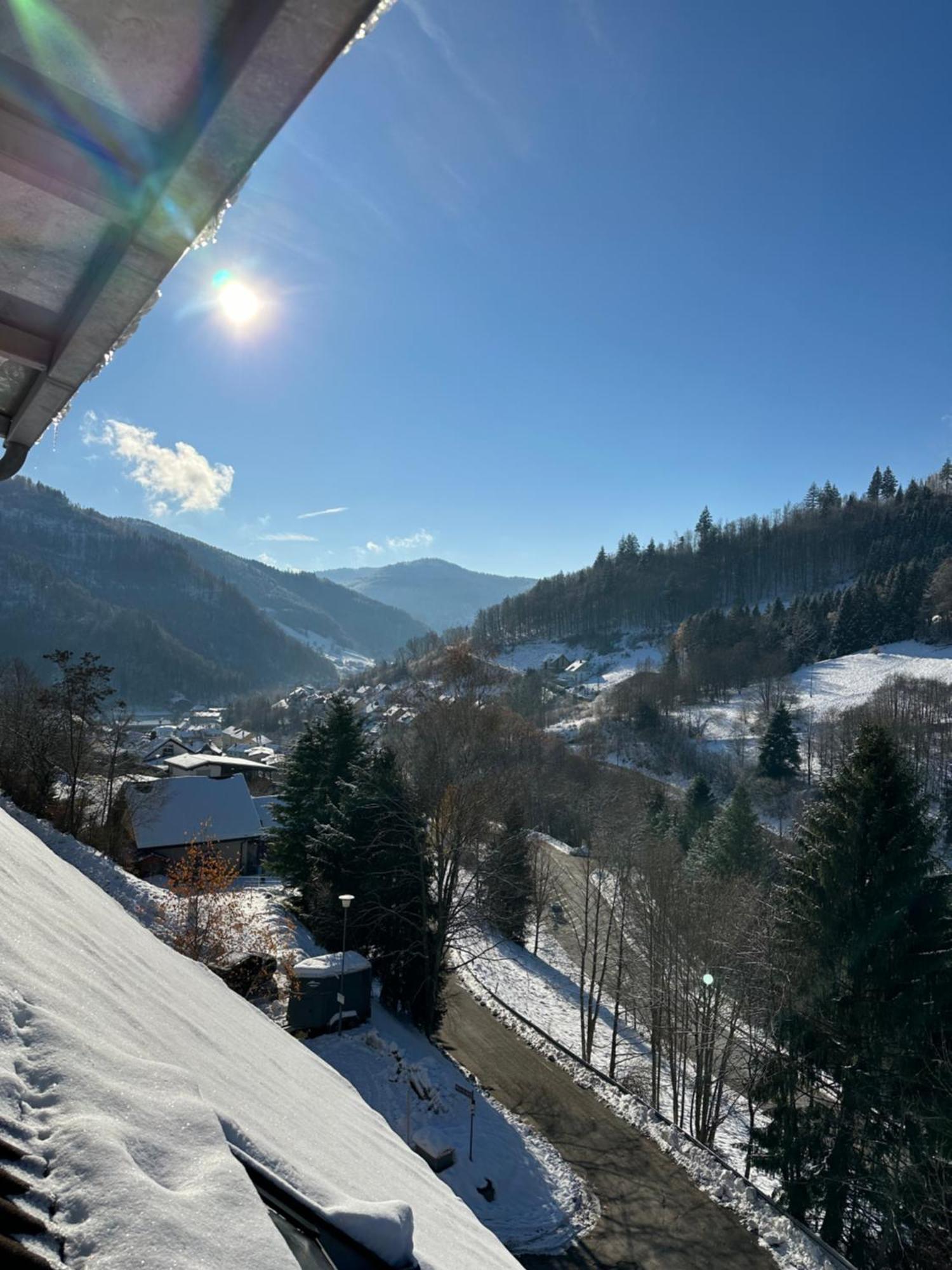 Bollenlodge - Mit Ausblick Und Lage